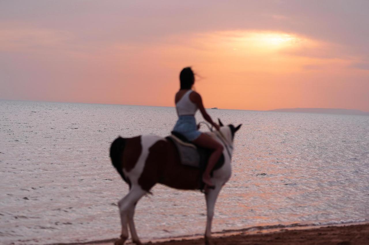 Hotel Dawar El Omda (Adults Only) El Gouna Esterno foto
